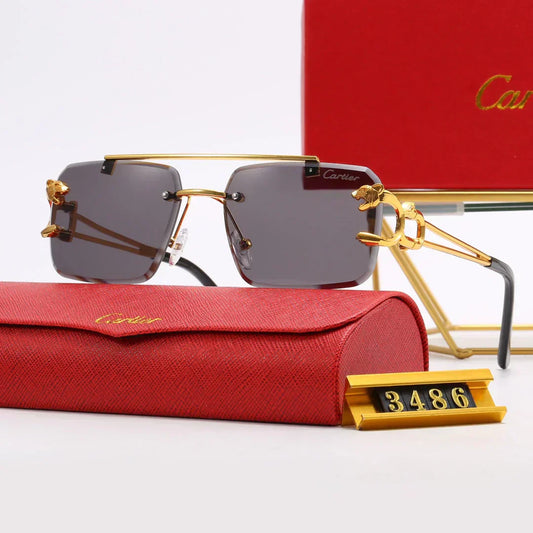 2025 5 Farben Fashion-Sonnenbrille – 3486