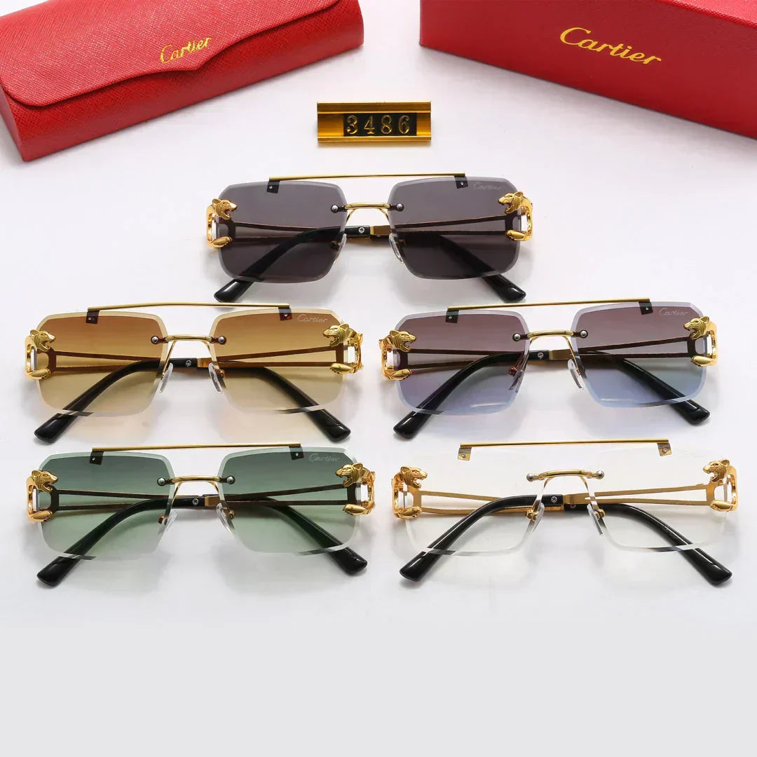 2025 5 Farben Fashion-Sonnenbrille – 3486